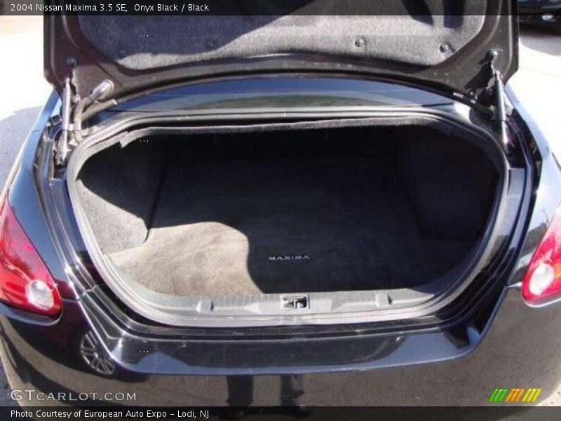 Onyx Black / Black 2004 Nissan Maxima 3.5 SE