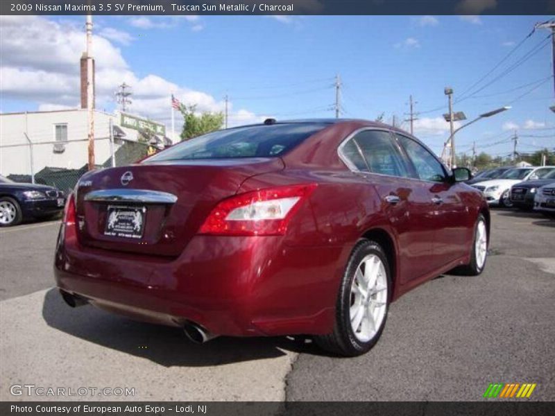 Tuscan Sun Metallic / Charcoal 2009 Nissan Maxima 3.5 SV Premium