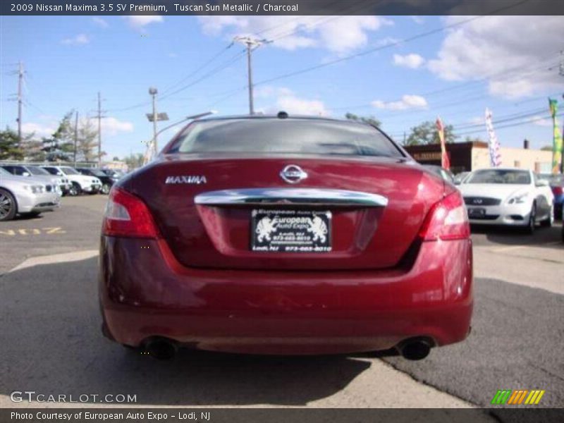 Tuscan Sun Metallic / Charcoal 2009 Nissan Maxima 3.5 SV Premium