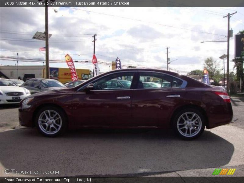 Tuscan Sun Metallic / Charcoal 2009 Nissan Maxima 3.5 SV Premium
