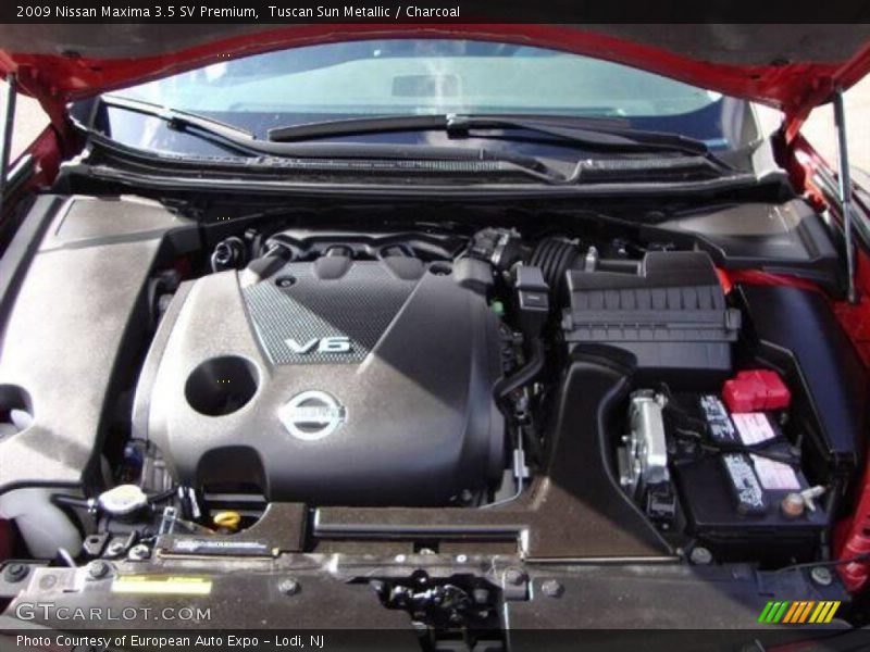 Tuscan Sun Metallic / Charcoal 2009 Nissan Maxima 3.5 SV Premium