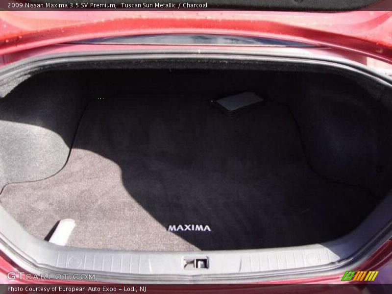 Tuscan Sun Metallic / Charcoal 2009 Nissan Maxima 3.5 SV Premium