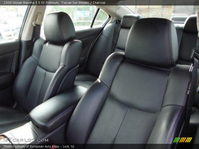 Tuscan Sun Metallic / Charcoal 2009 Nissan Maxima 3.5 SV Premium