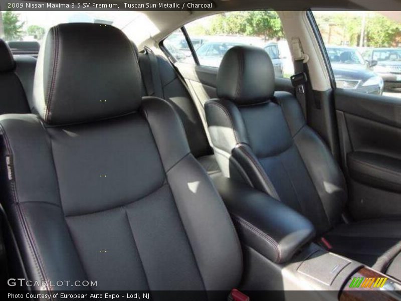 Tuscan Sun Metallic / Charcoal 2009 Nissan Maxima 3.5 SV Premium