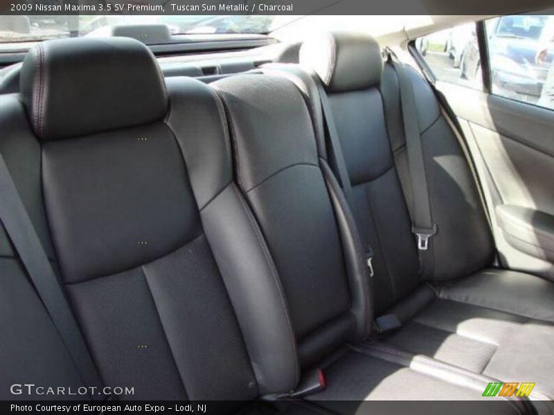 Tuscan Sun Metallic / Charcoal 2009 Nissan Maxima 3.5 SV Premium
