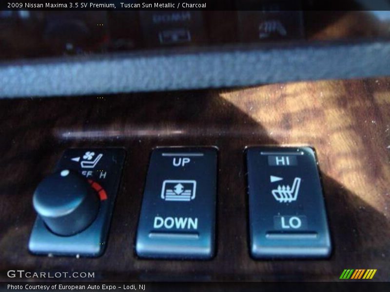 Tuscan Sun Metallic / Charcoal 2009 Nissan Maxima 3.5 SV Premium