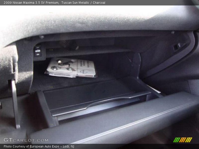 Tuscan Sun Metallic / Charcoal 2009 Nissan Maxima 3.5 SV Premium