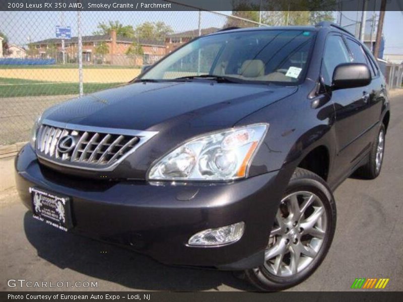 Smokey Granite / Parchment 2009 Lexus RX 350 AWD