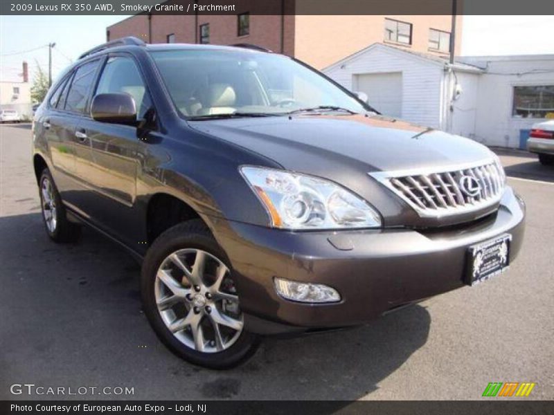 Smokey Granite / Parchment 2009 Lexus RX 350 AWD