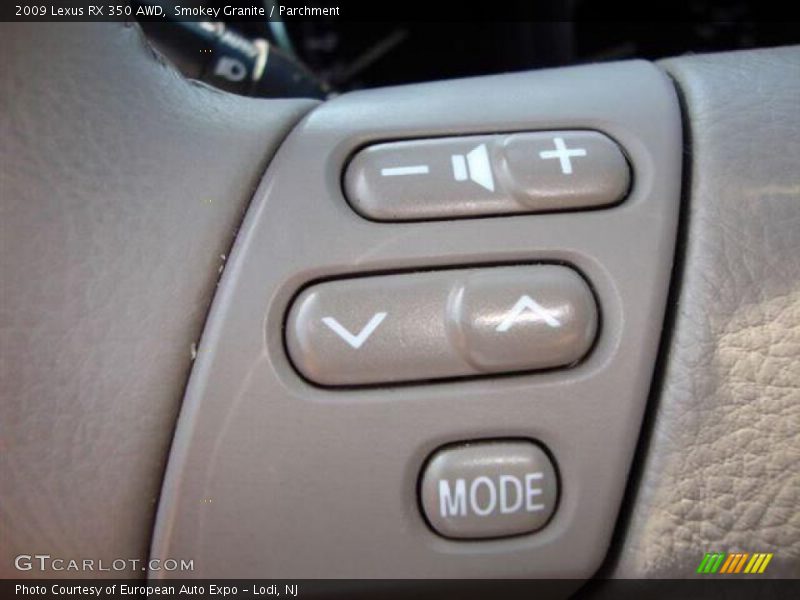 Smokey Granite / Parchment 2009 Lexus RX 350 AWD