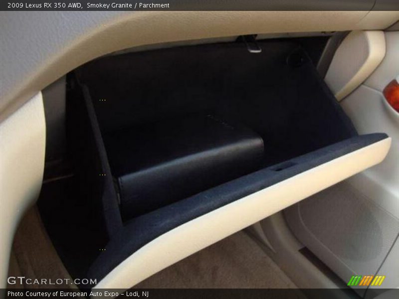 Smokey Granite / Parchment 2009 Lexus RX 350 AWD
