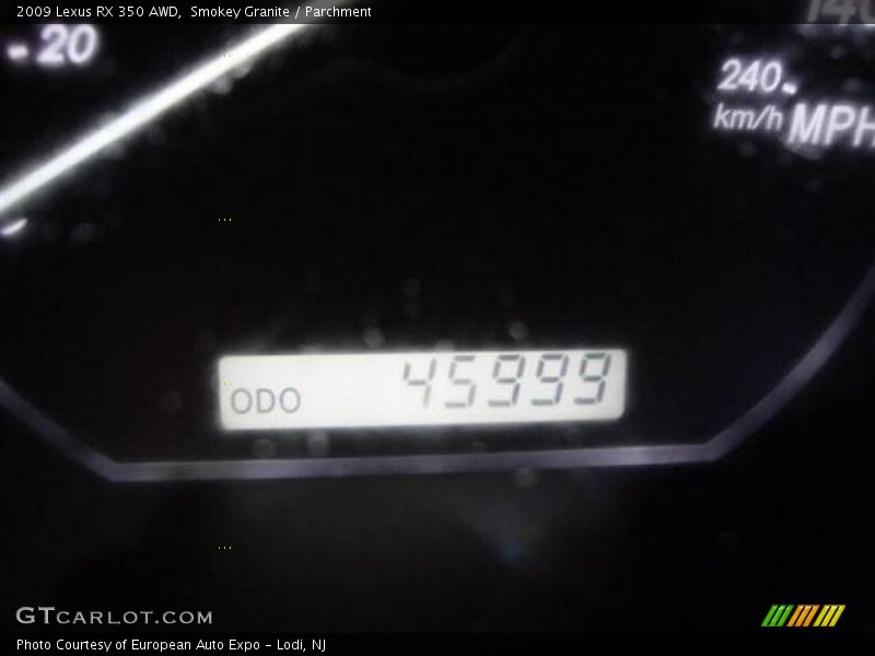 Smokey Granite / Parchment 2009 Lexus RX 350 AWD