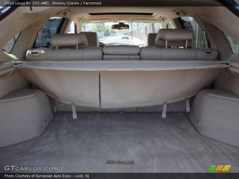 Smokey Granite / Parchment 2009 Lexus RX 350 AWD