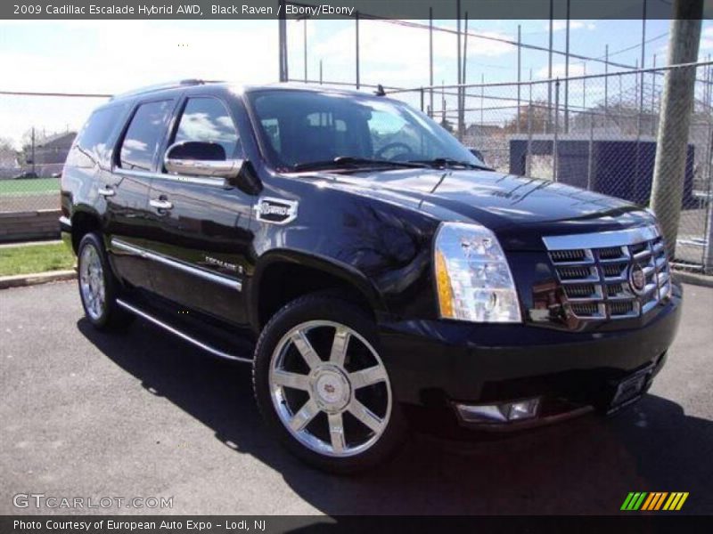 Black Raven / Ebony/Ebony 2009 Cadillac Escalade Hybrid AWD