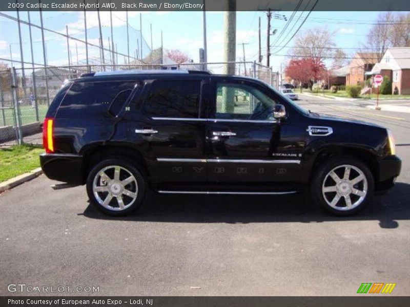 Black Raven / Ebony/Ebony 2009 Cadillac Escalade Hybrid AWD