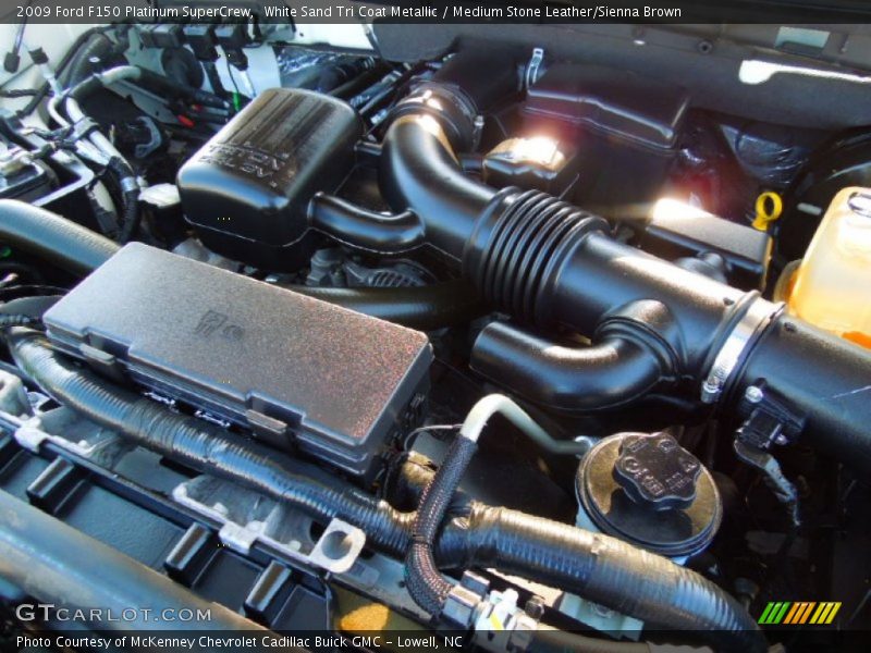 2009 F150 Platinum SuperCrew Engine - 5.4 Liter SOHC 24-Valve VVT Triton V8