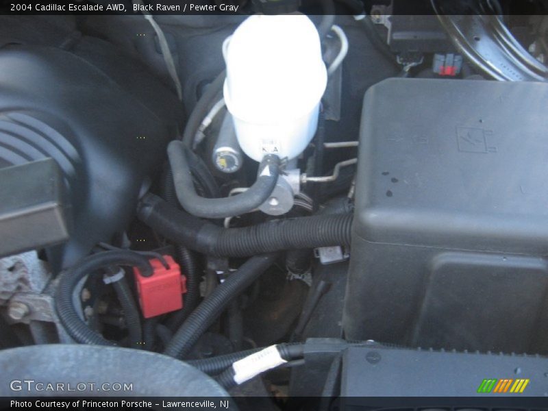 Black Raven / Pewter Gray 2004 Cadillac Escalade AWD