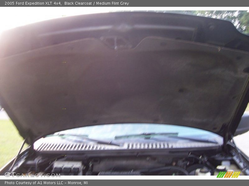 Black Clearcoat / Medium Flint Grey 2005 Ford Expedition XLT 4x4