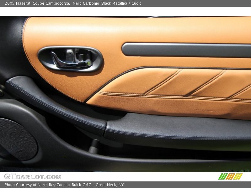 Door Panel of 2005 Coupe Cambiocorsa