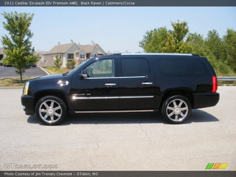 Black Raven / Cashmere/Cocoa 2011 Cadillac Escalade ESV Premium AWD
