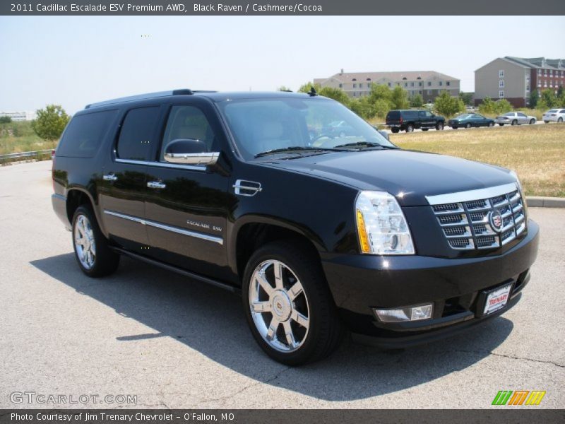 Black Raven / Cashmere/Cocoa 2011 Cadillac Escalade ESV Premium AWD
