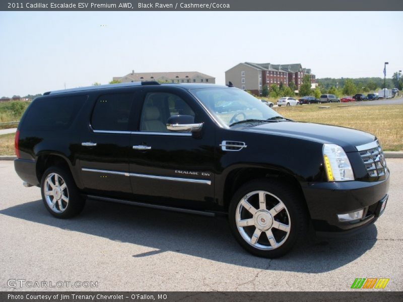 Black Raven / Cashmere/Cocoa 2011 Cadillac Escalade ESV Premium AWD