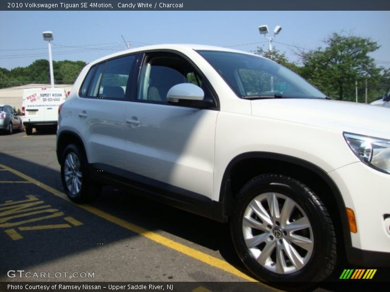 Candy White / Charcoal 2010 Volkswagen Tiguan SE 4Motion