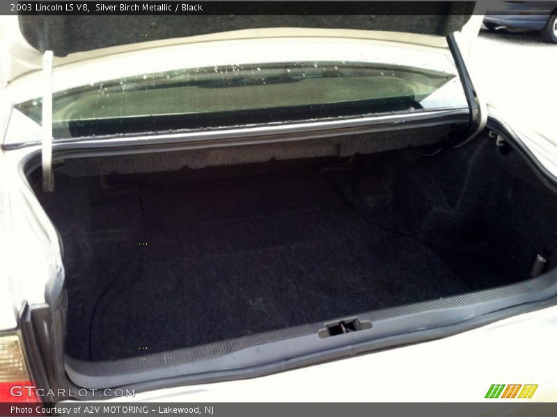 Silver Birch Metallic / Black 2003 Lincoln LS V8