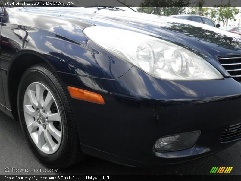 Black Onyx / Ivory 2004 Lexus ES 330