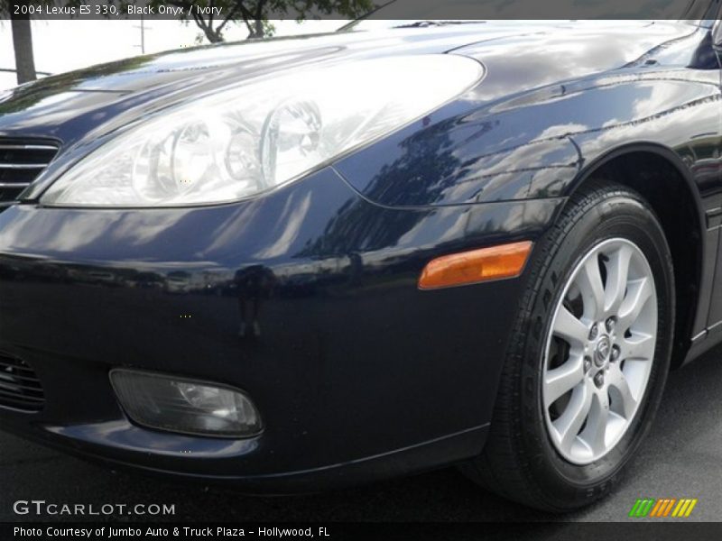 Black Onyx / Ivory 2004 Lexus ES 330