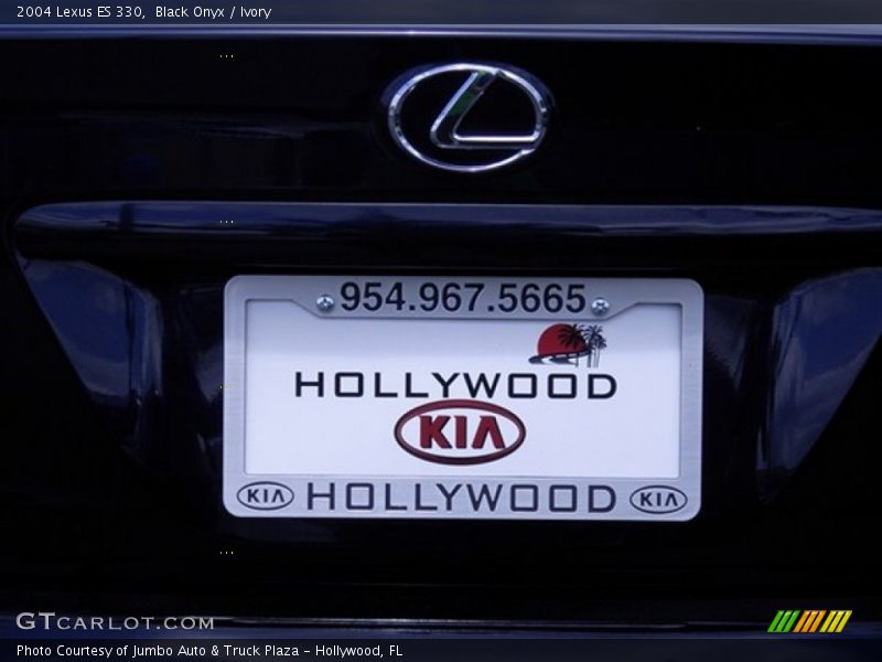 Black Onyx / Ivory 2004 Lexus ES 330
