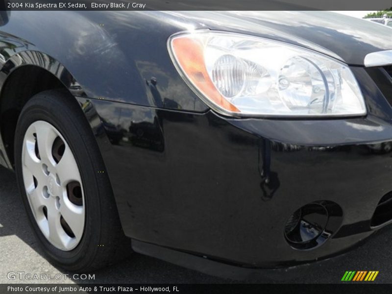 Ebony Black / Gray 2004 Kia Spectra EX Sedan