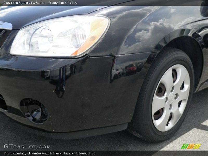 Ebony Black / Gray 2004 Kia Spectra EX Sedan