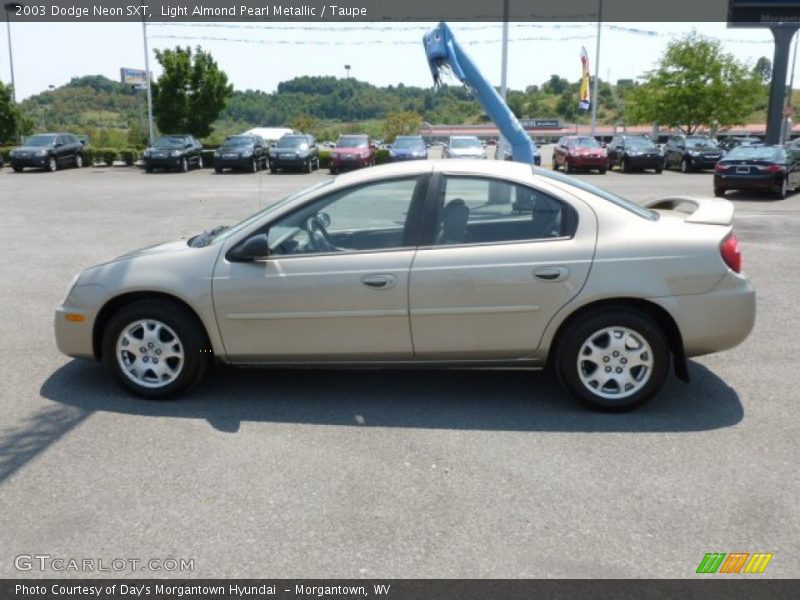 Light Almond Pearl Metallic / Taupe 2003 Dodge Neon SXT