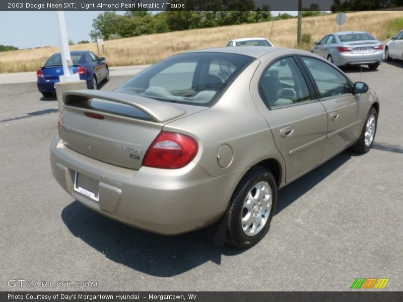 Light Almond Pearl Metallic / Taupe 2003 Dodge Neon SXT