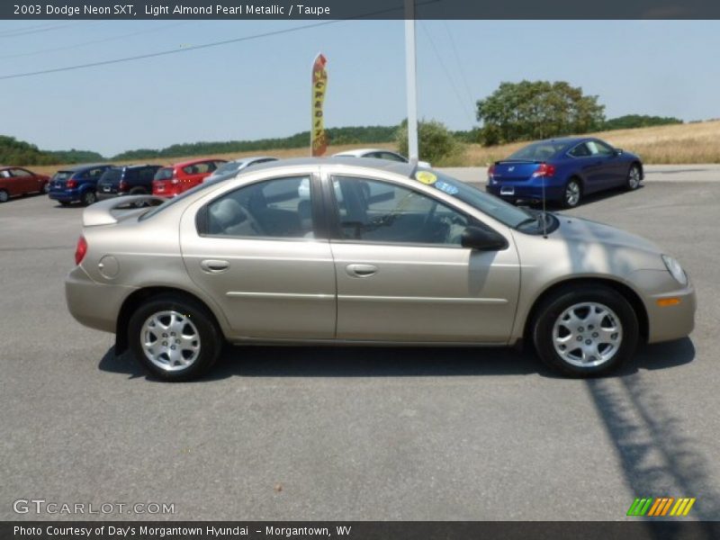 Light Almond Pearl Metallic / Taupe 2003 Dodge Neon SXT