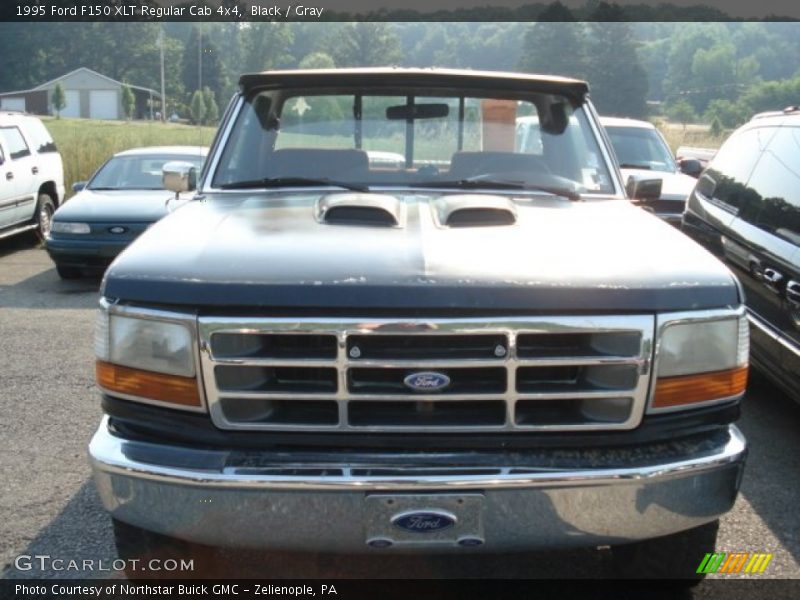 Black / Gray 1995 Ford F150 XLT Regular Cab 4x4