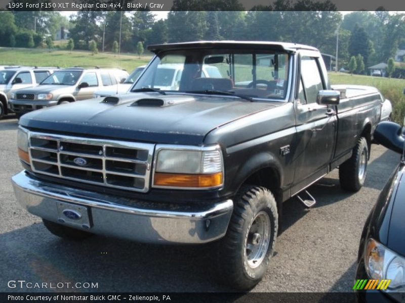 Black / Gray 1995 Ford F150 XLT Regular Cab 4x4