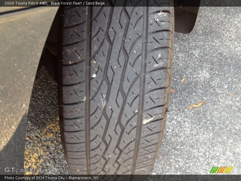 Black Forest Pearl / Sand Beige 2009 Toyota RAV4 4WD