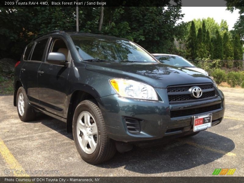 Black Forest Pearl / Sand Beige 2009 Toyota RAV4 4WD