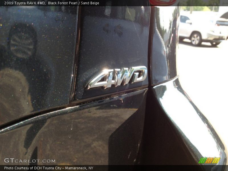 Black Forest Pearl / Sand Beige 2009 Toyota RAV4 4WD