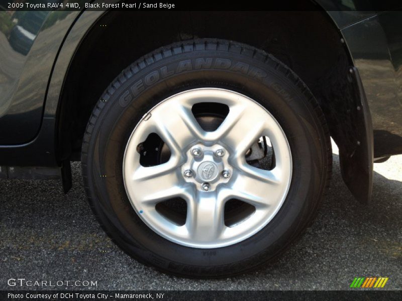 Black Forest Pearl / Sand Beige 2009 Toyota RAV4 4WD
