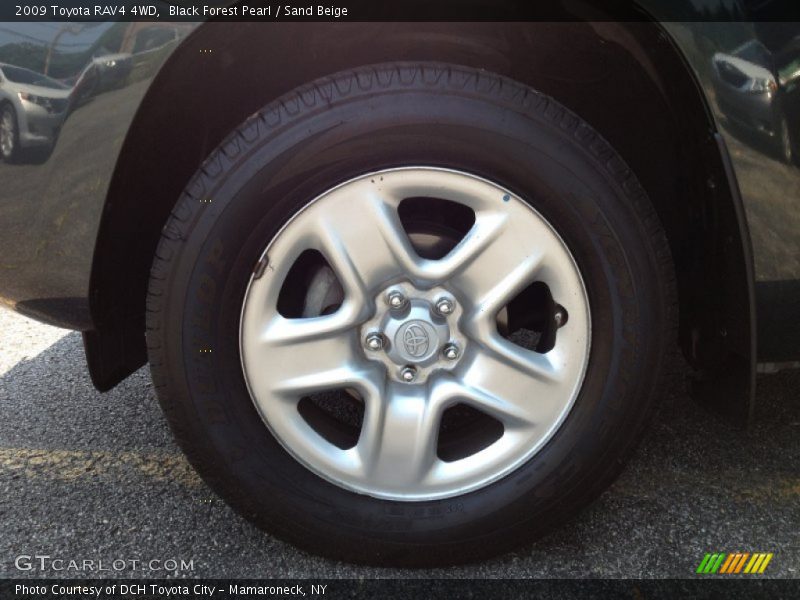 Black Forest Pearl / Sand Beige 2009 Toyota RAV4 4WD