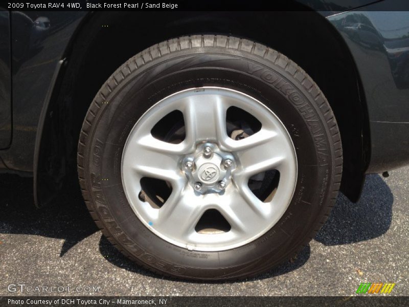 Black Forest Pearl / Sand Beige 2009 Toyota RAV4 4WD