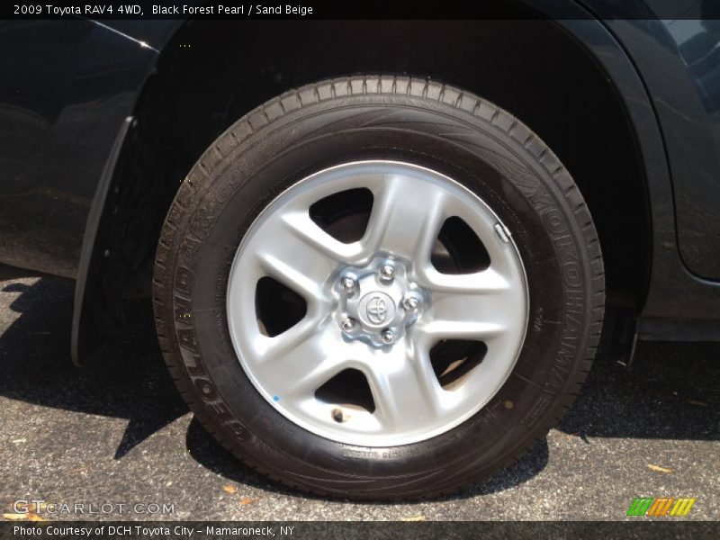 Black Forest Pearl / Sand Beige 2009 Toyota RAV4 4WD