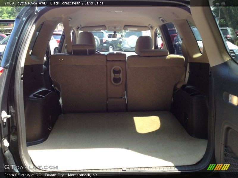 Black Forest Pearl / Sand Beige 2009 Toyota RAV4 4WD