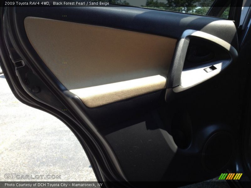 Black Forest Pearl / Sand Beige 2009 Toyota RAV4 4WD