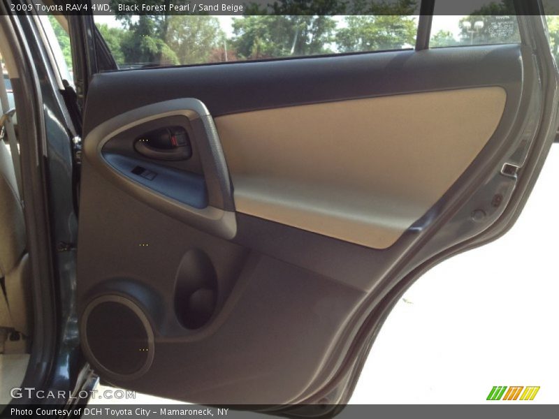 Black Forest Pearl / Sand Beige 2009 Toyota RAV4 4WD