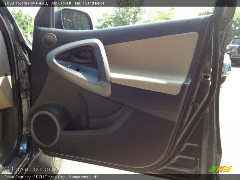 Black Forest Pearl / Sand Beige 2009 Toyota RAV4 4WD
