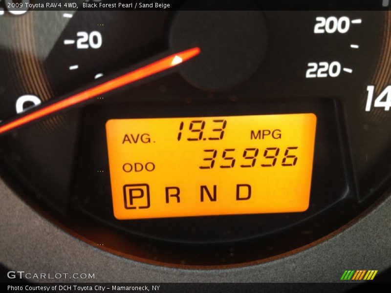 Black Forest Pearl / Sand Beige 2009 Toyota RAV4 4WD